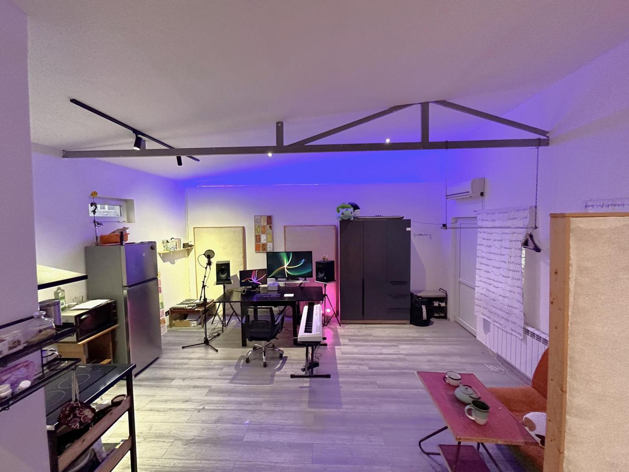 Cosy Studio With Beautiful Garden Yerevan Luaran gambar